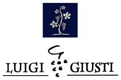 LUIGI GIUSTI